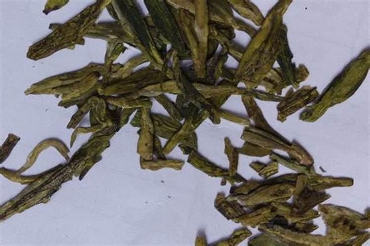 茶叶怎么发酵当肥料 怎么样用废茶叶做花肥
