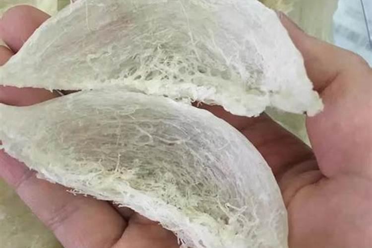酸奶和米酒的发酵菌成分是一样的吗
