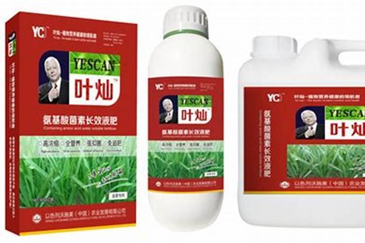 小麦抽穗期可以追肥吗