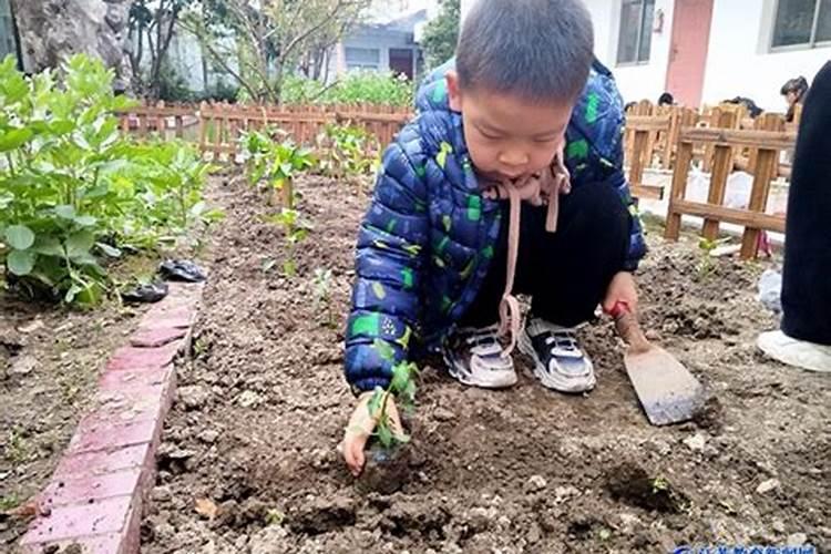 大豆什么时候种植最好？