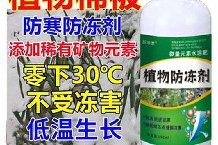 果树叶面肥有哪些