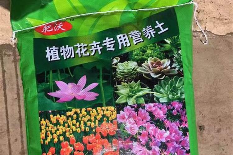 椰糠怎么用/椰糠如何用/椰糠使用方法:格陆谷的一些建议