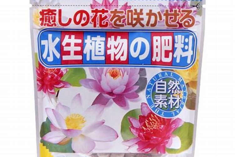 绿萝叶面施肥用什么