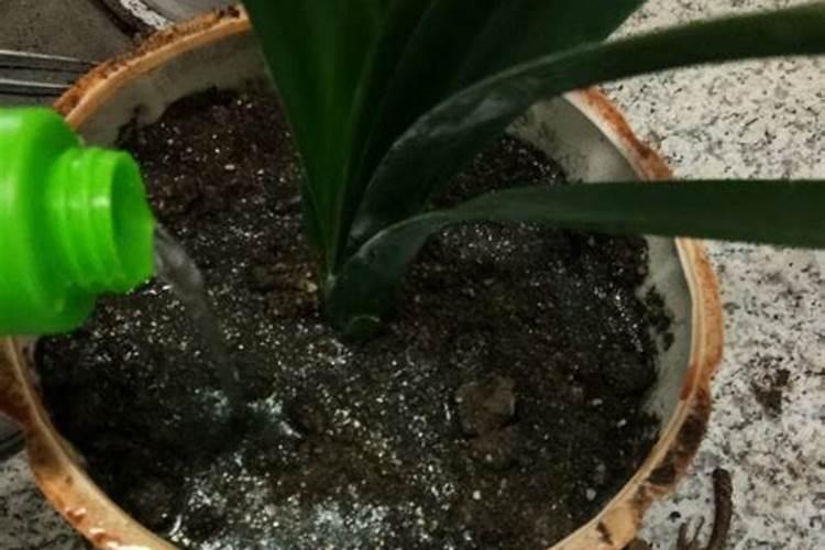 芸苔素内酯可以跟绿 颖矿物油混用吗
