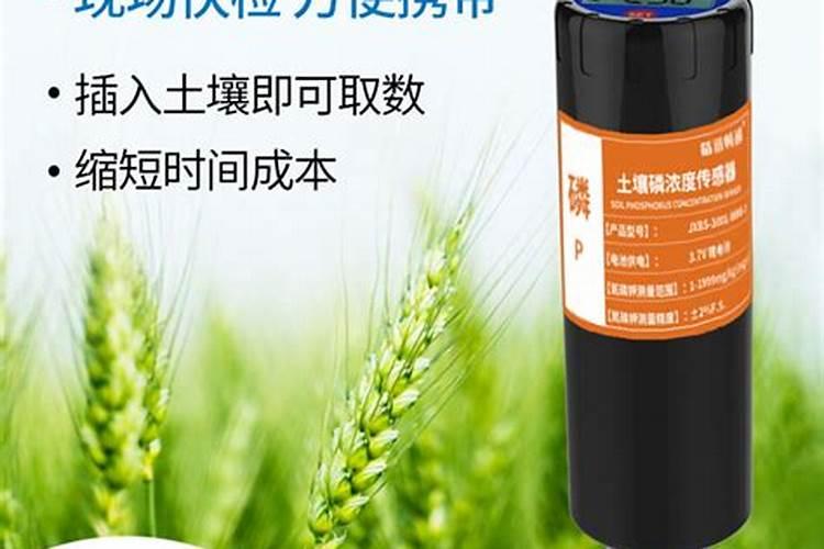 小麦灌浆期喷什么叶面肥和农药好