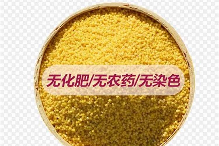 水溶肥是什么肥料
