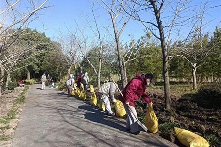 1000立生化池污泥培养要加葡萄糖碳源多少