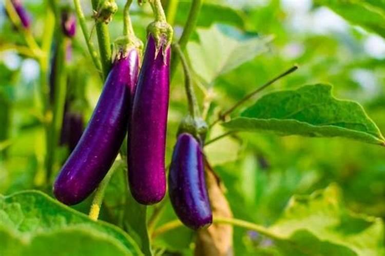 肥料销售话术和技巧 肥料销售的方式