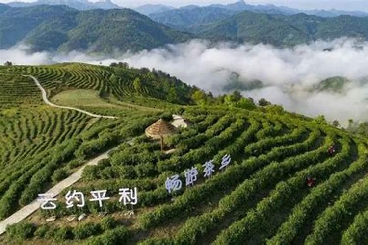 富硒地有什么好处