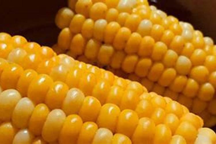 玉米里都含什么营养成分？