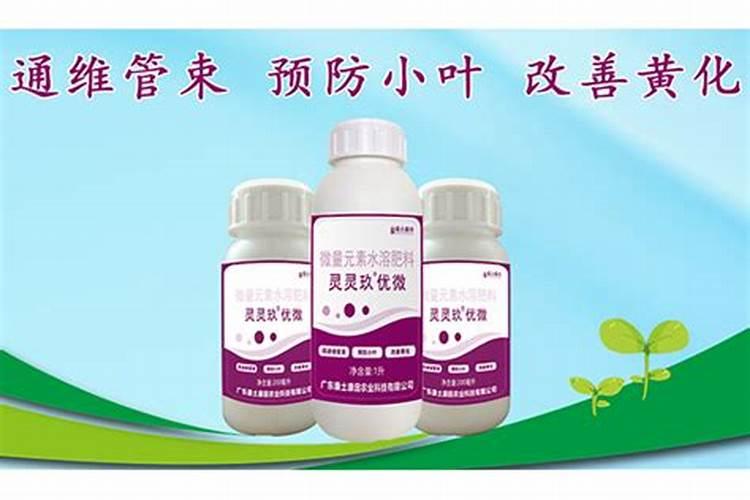 水溶肥怎么施