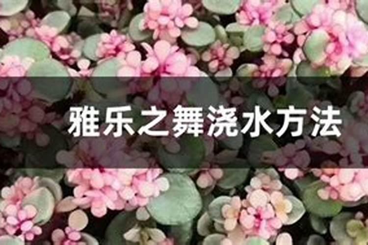 根多多生根水溶肥使用方法