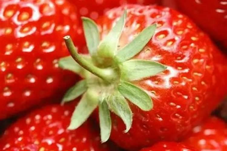 一棵草莓植株放几粒复合肥