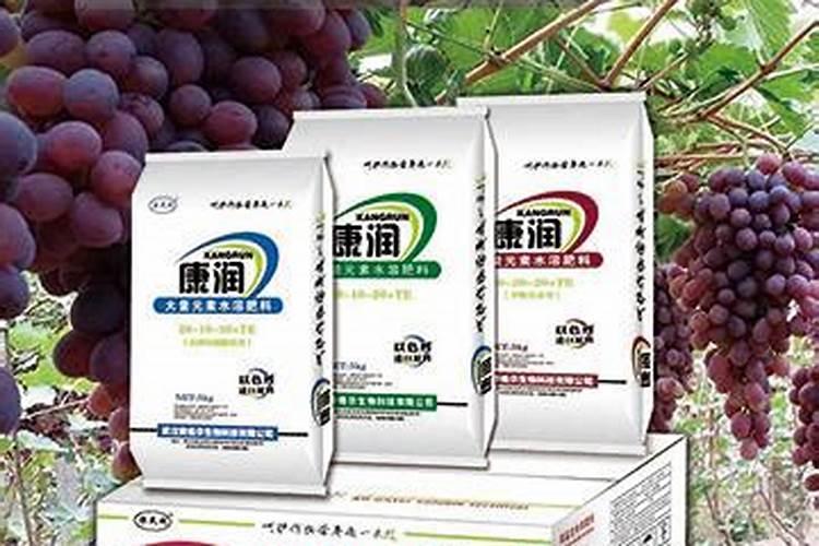请问专家青稞怎么种植？