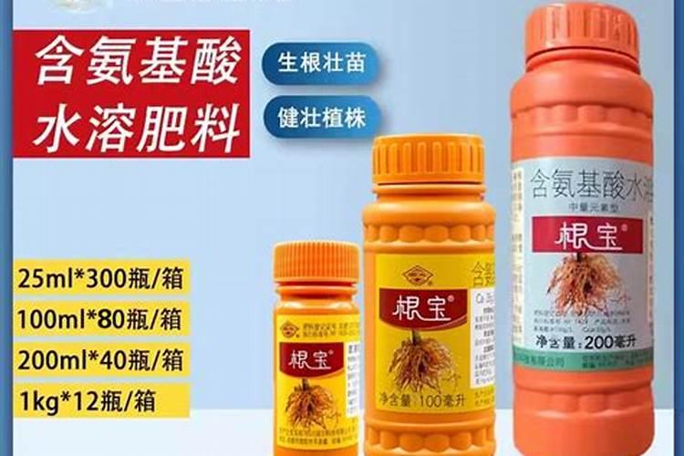 盆栽铁树叶子发黄,怎么办？