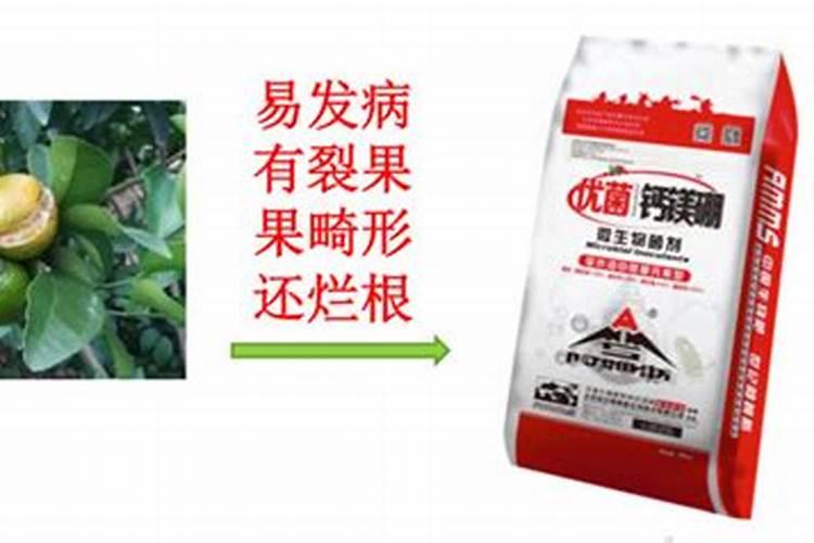 镁肥对植物的效果,镁肥和钾肥可以一起用吗