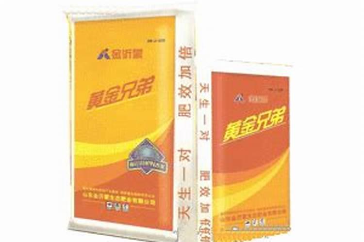 摩雷薏蕾用什么功放？