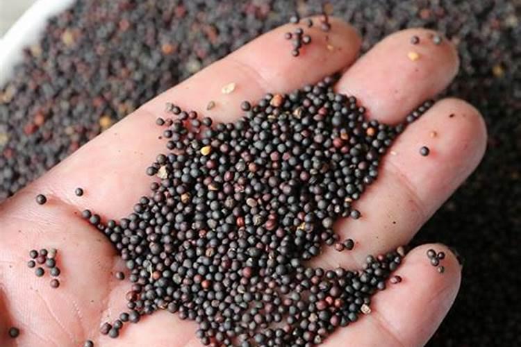 大豆花打什么叶面肥好？