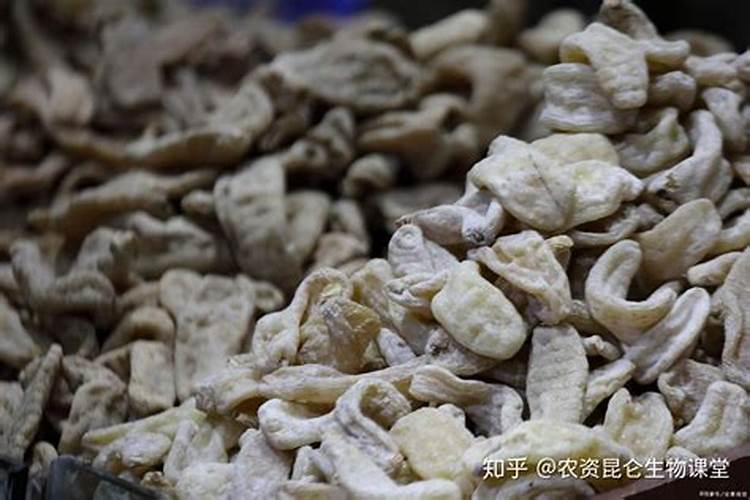过麟酸钙肥可以太阳晒不？