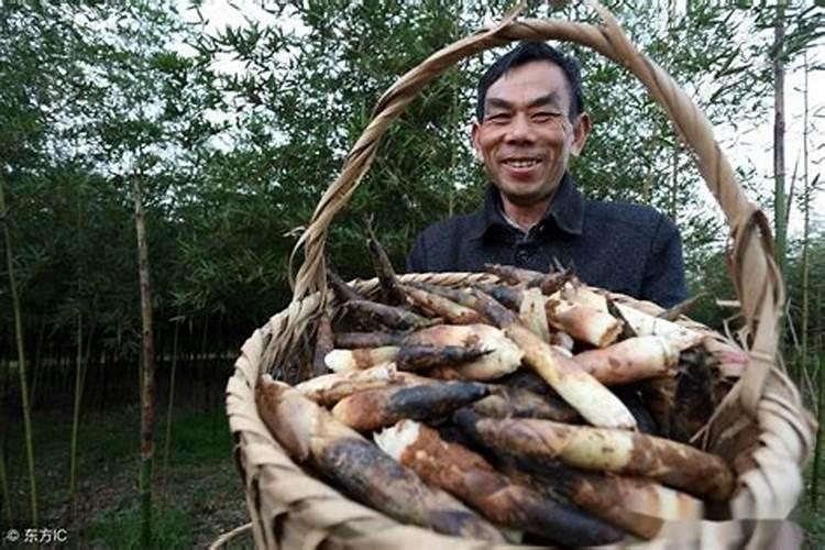 葡萄如何施肥