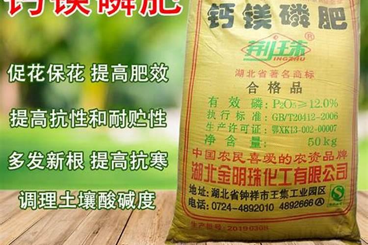 磷肥有几种哪种最好