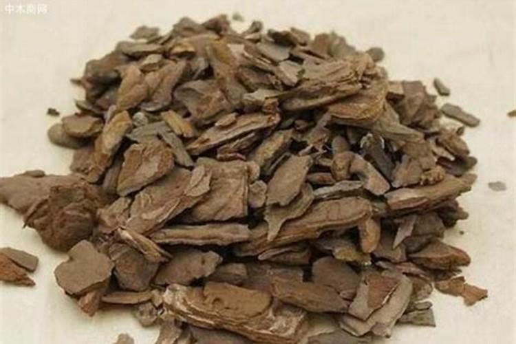 苗木施秋肥有多重要？秋季该怎么施肥？