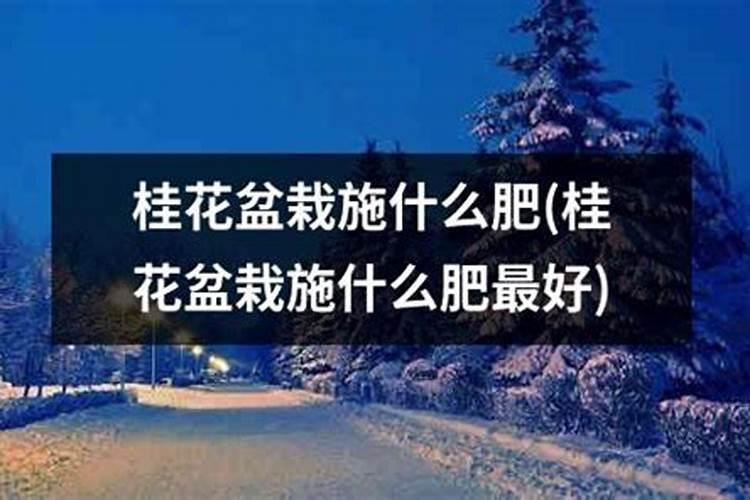 土豆水溶肥的使用方法 有哪些好处