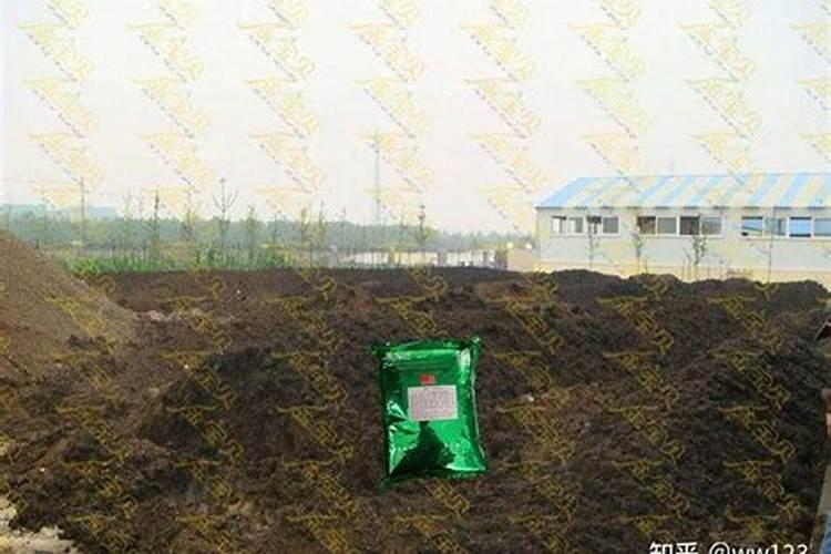 幸福树需要什么样的肥料最好