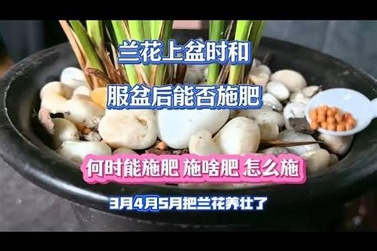 葡萄种植不同时期如何追肥