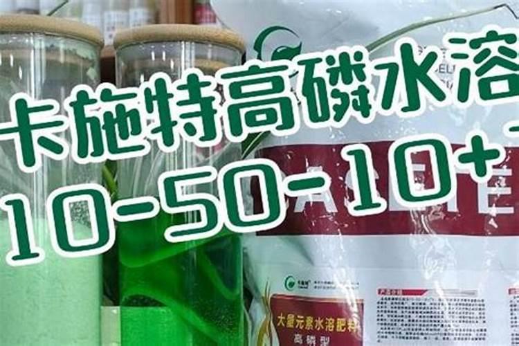 青海最大的钾肥厂