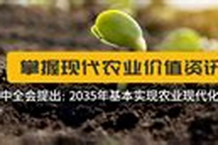 稻秧用钾肥与高钙钾宝哪个好？