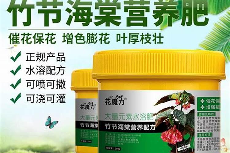 我买的海棠花只开了二朵花之后不开花了,也不长叶子,是什么原因？