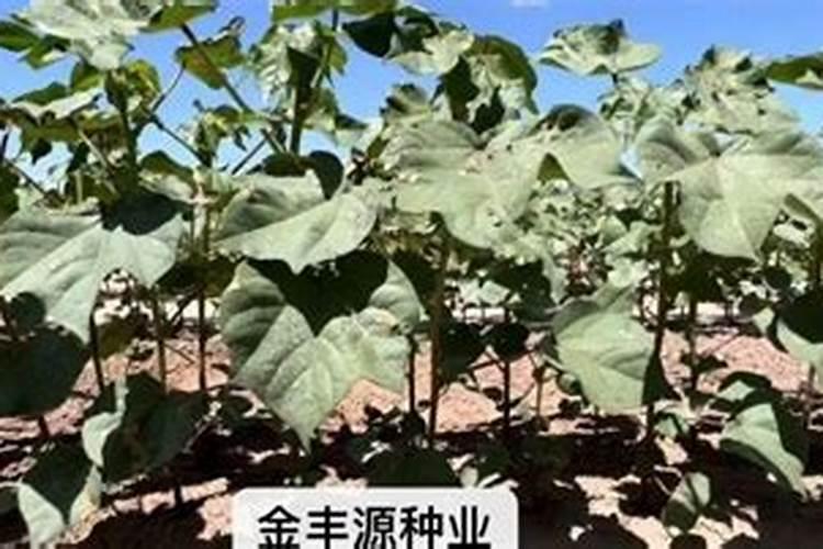 银川火车站站前公交