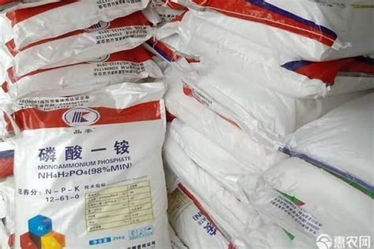养花哪些肥料