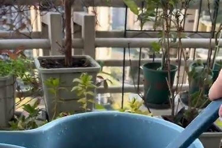 农用氮磷钾可以在水中施肥用吗？