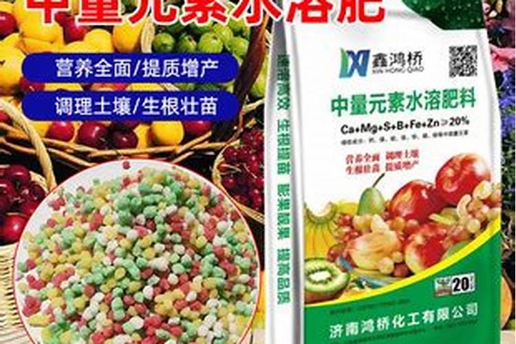 金桔开花后怎么防止落果