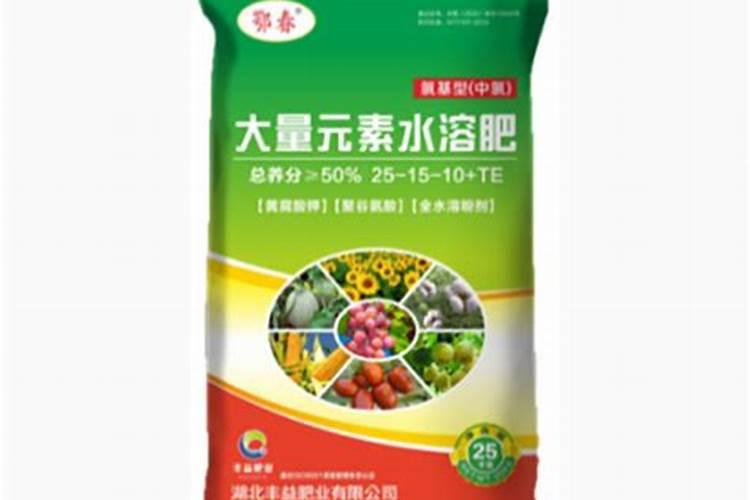 月季施肥太多肥伤了怎么办