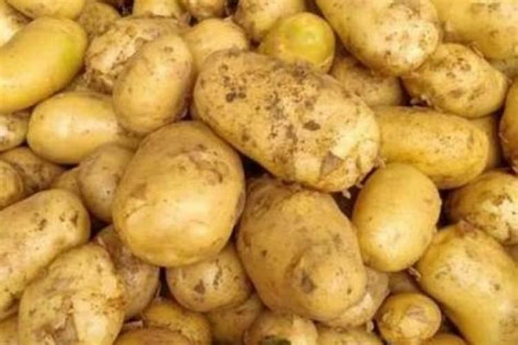 土豆施肥用什么肥料