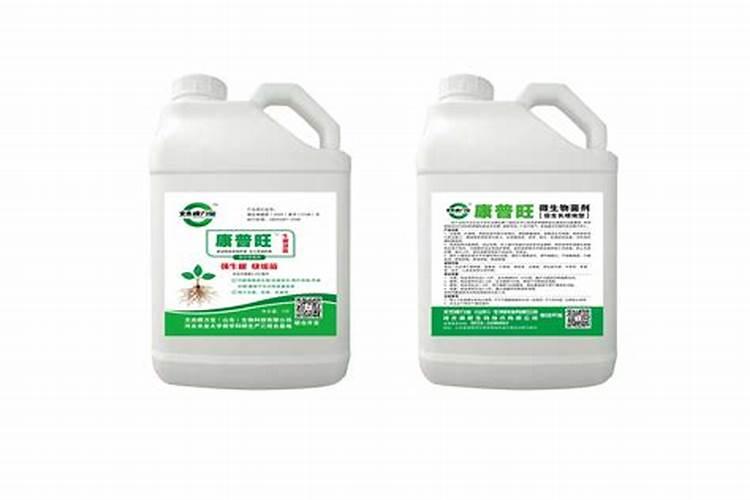 固氮植物如何施肥