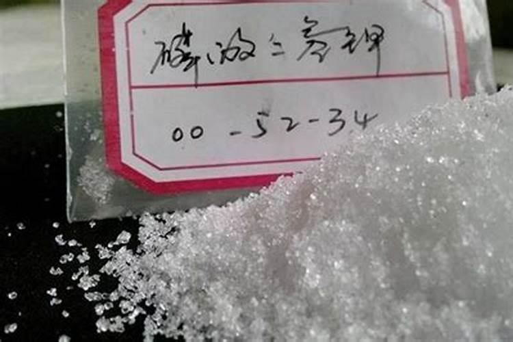 广柑一棵树上的有的烂了,有的又没烂,怎么回事？