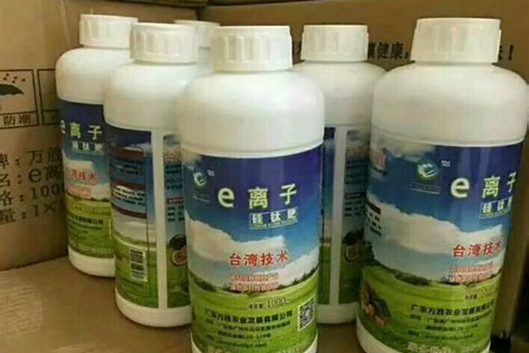 水稻怎么施硅肥,硅肥对水稻的效果有哪些