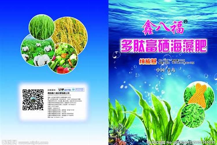 什么是海藻肥