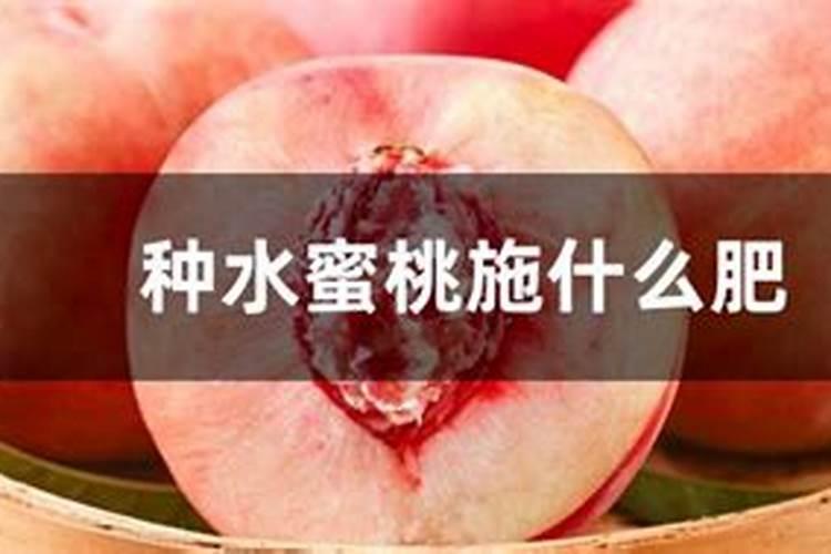 水蜜桃是一种很受欢迎的水果,那么种植水蜜桃有什么好的方法呢？