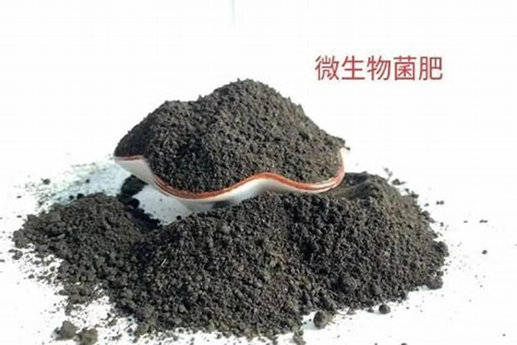 含钾最高的肥料有哪几种 含钾高的肥料有哪些