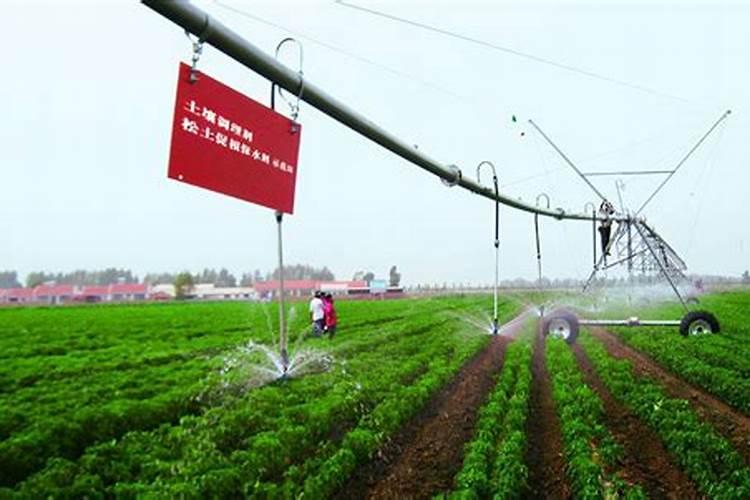 种花生复合肥和控释肥那个好啊