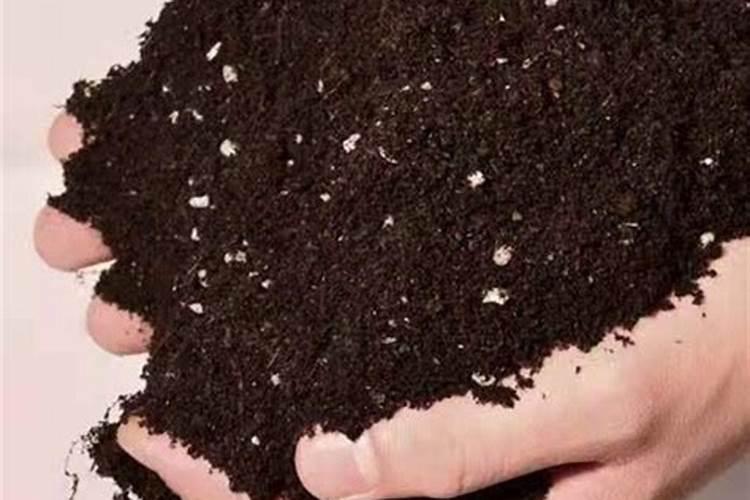 我想了解一下该怎么使用化肥氮磷钾？