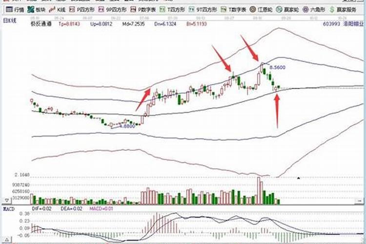 一篇文章将尿素性状、制备、产能、趋势,一扒到底!