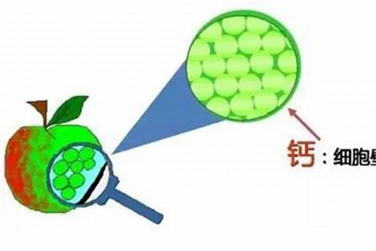 什么肥料保花