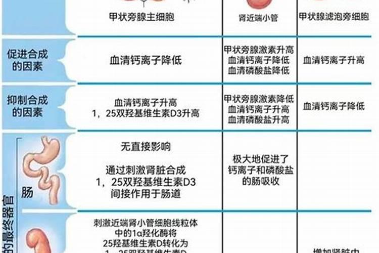 植物施肥用什么肥料好;家庭养花十大最好花肥