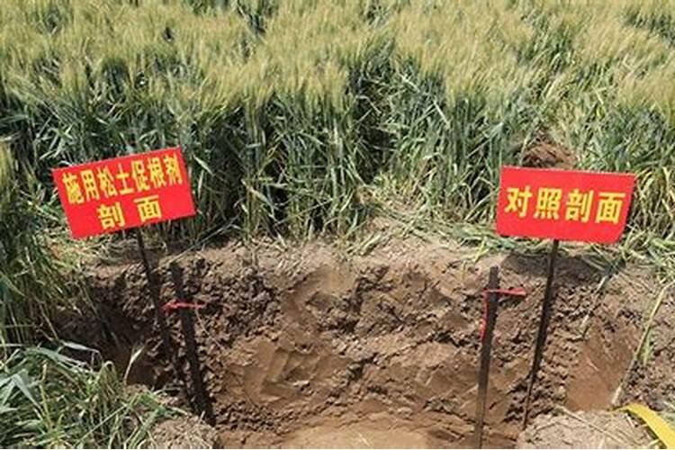 什么肥料能使土壤松软